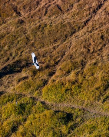 Helicopter Scenic Flight